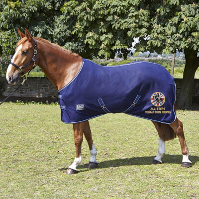 Lightweight Fleece Travel / Show Rug - BOTH SIDES Thumbnail